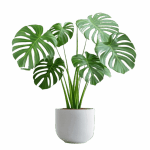 a06dcdc7037d44d90b95f446edaee419cf9b515b Kunstplant