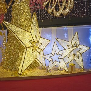 preston01_FAMILLE_MEDIUM_LARGE verlichte ster