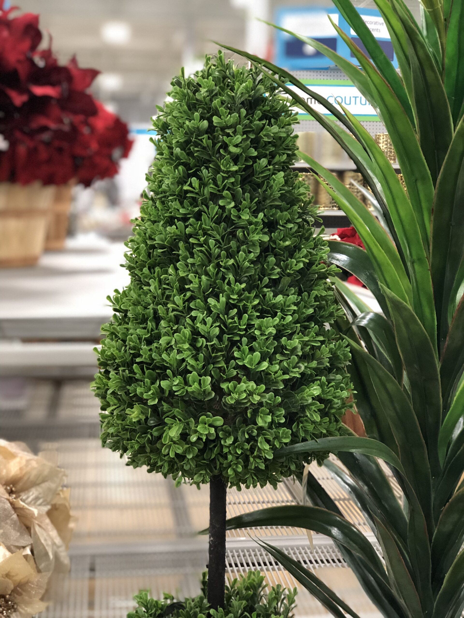 245c9cc3bd198d08313371bab22b2ea46e944f22