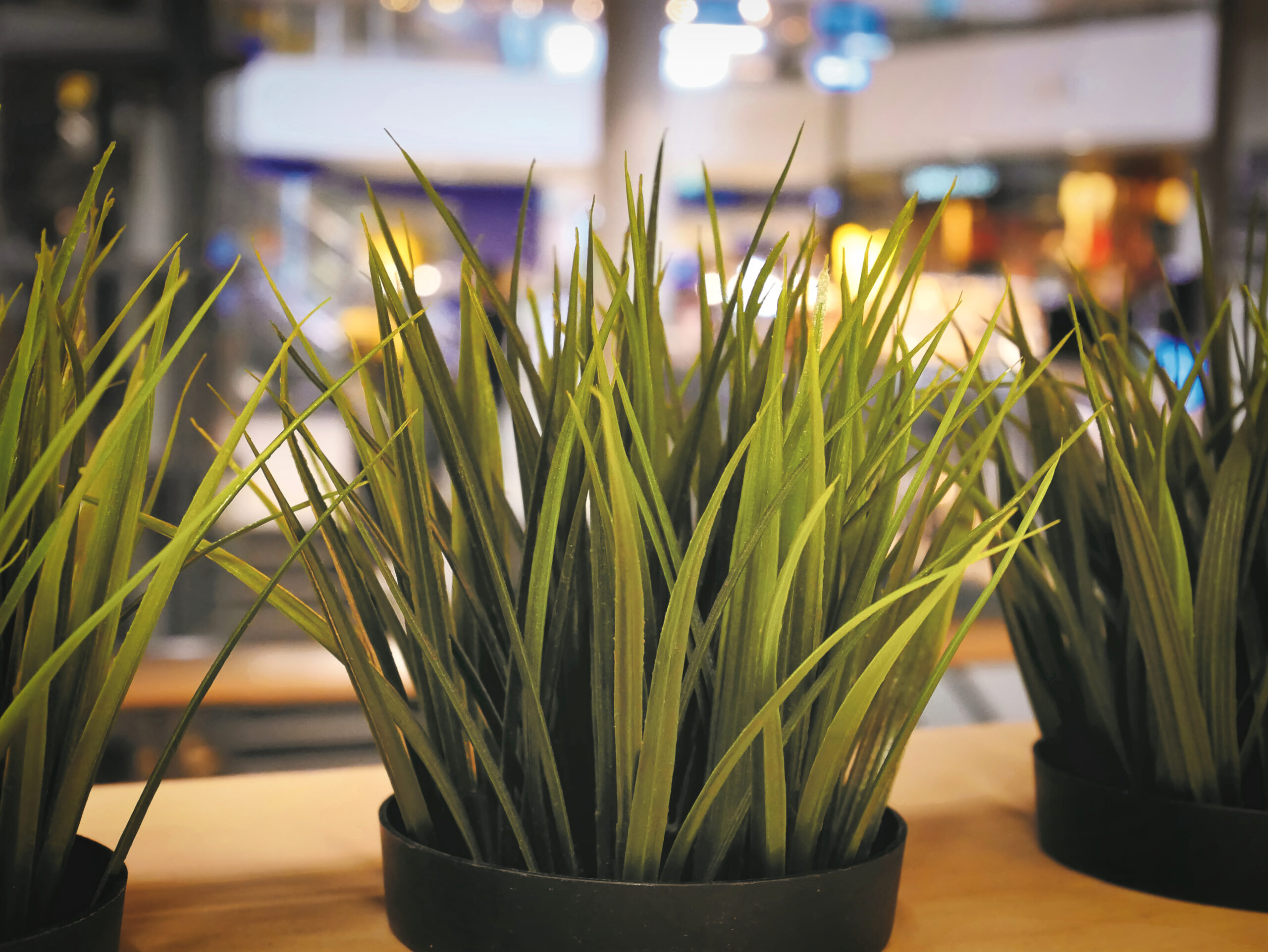 b7e4117cc476673683bf73fa72430900658766f9