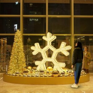 springfield01_FAMILLE_MEDIUM_LARGE sneeuwvlok